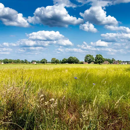 Celler شقة سيل